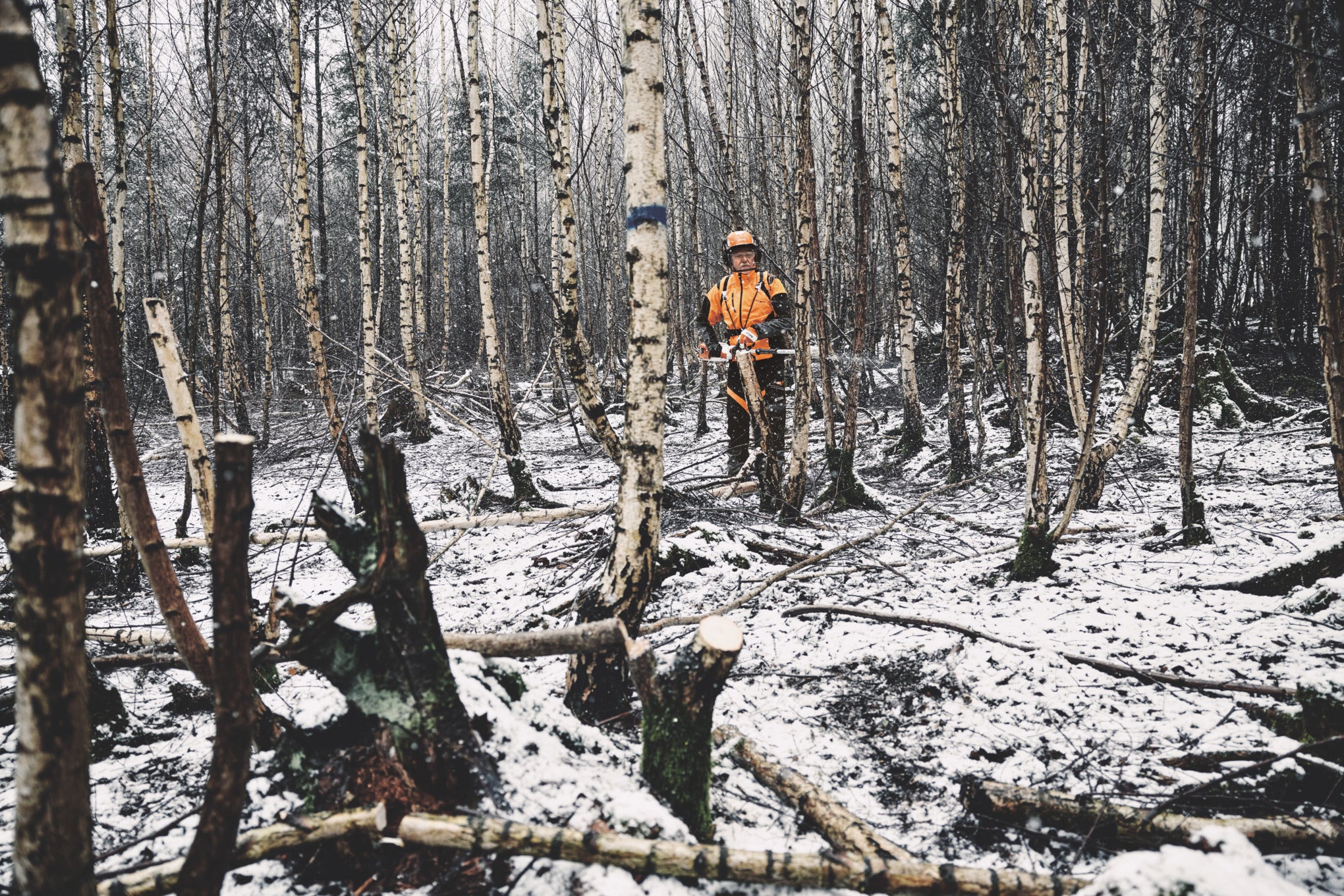 Stihl HTA 150 POLE PRUNER (AP) LA012000022