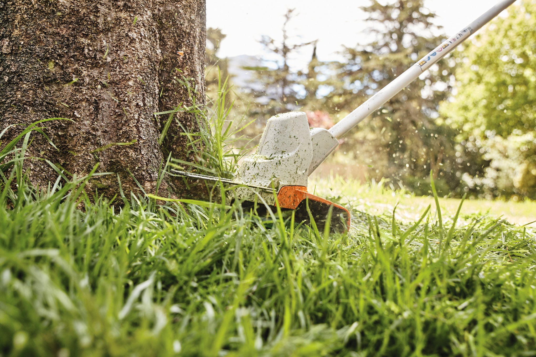 STIHL FSA 57 TRIMMEUSE Ensemble (AK) 45220115772