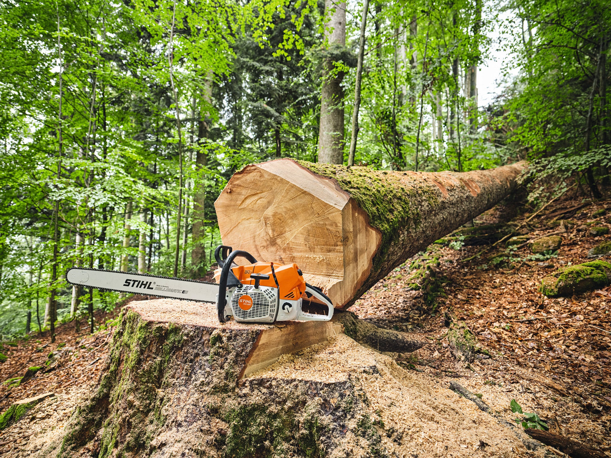 STIHL MS 881 11242000197