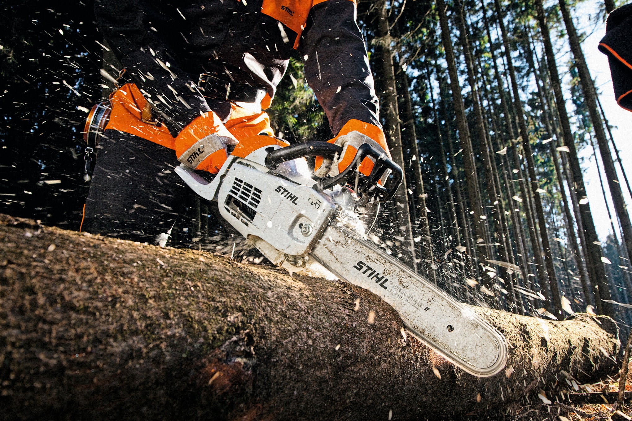Stihl MS 201 C-M 12" 11452000250
