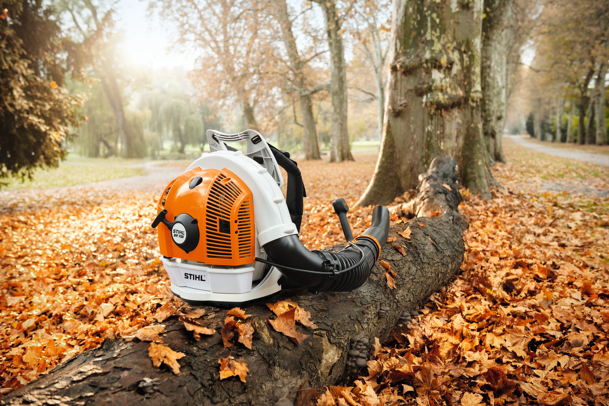 STIHL BR 700 Souffleur à dos 42820111639
