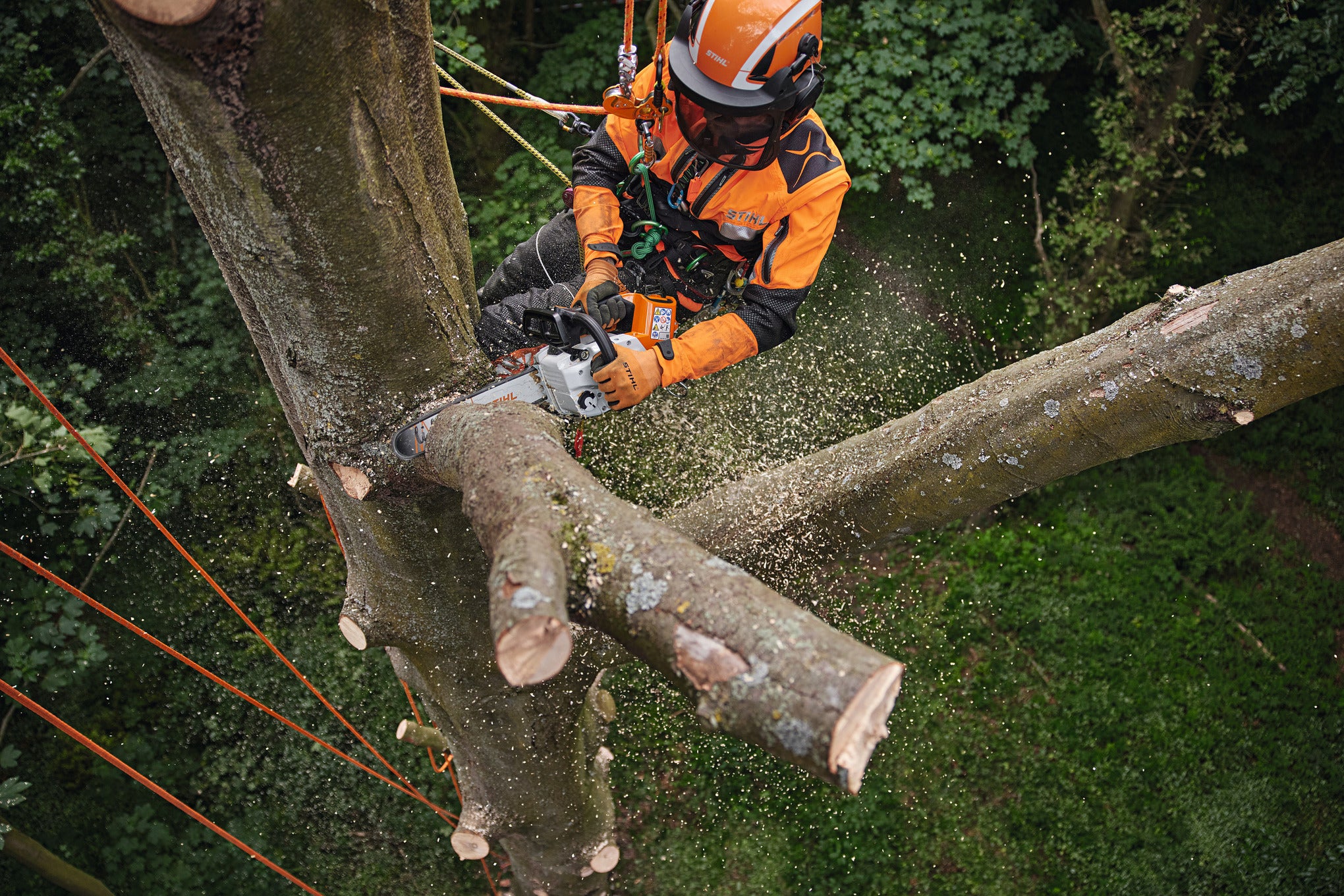 STIHL MSA 220 T SCIE À CHAÎNE 14" (AP) MA012000000