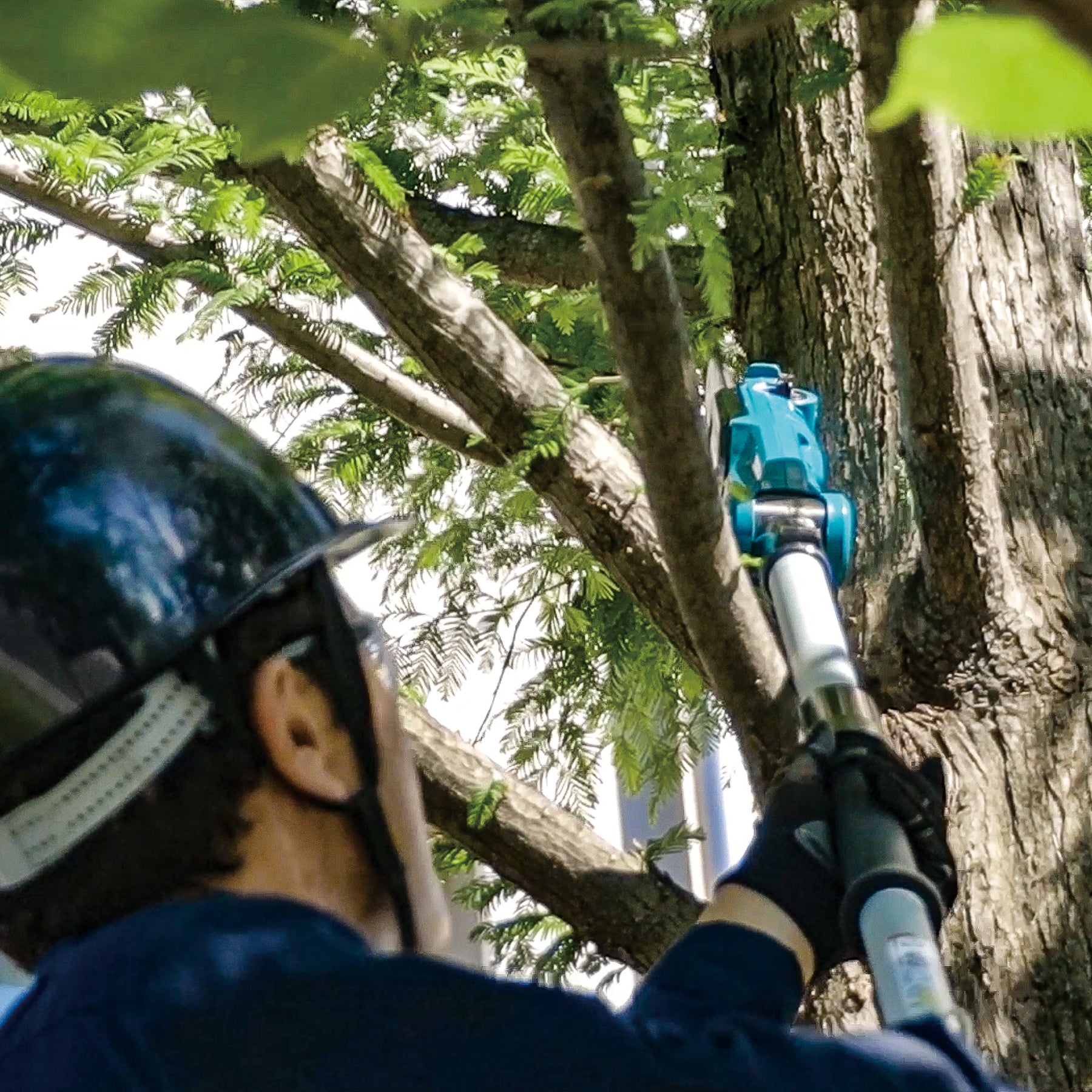 Makita 18V LXT Brushless 5' or 8' / 8" Pole Chainsaw, Tool Only DUA200Z