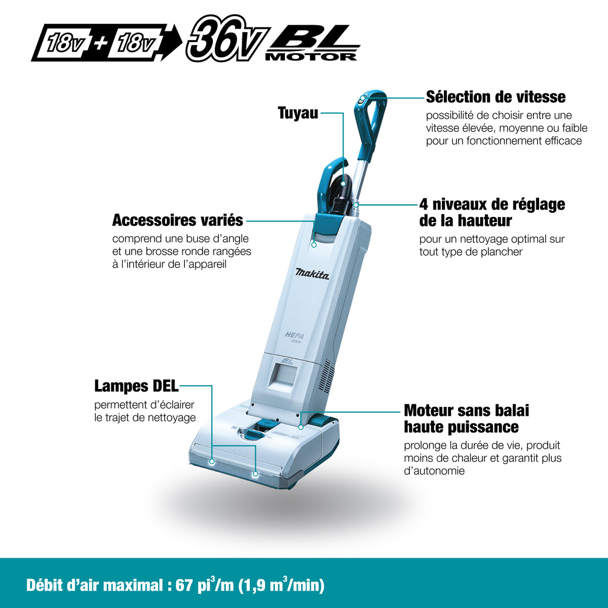 Makita Aspirateur traîneau 5 L sans balais 36V (18Vx2) LXT, kit avec 2 batteries 5.0Ah DVC560PT2