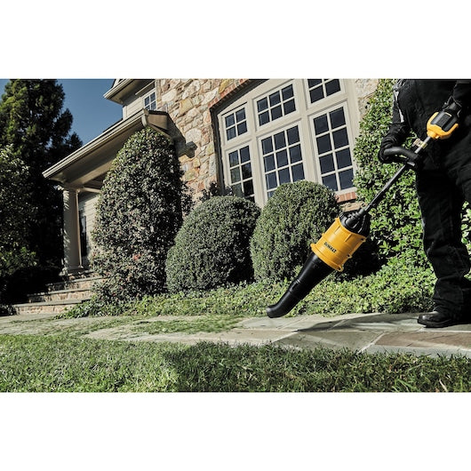 DeWalt Accessoire Souffleur DWOAS7BL