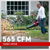Toro Souffleur à feuilles sans balai 60V MAX* 565 PCM - Batterie 2.0Ah incluse 51821