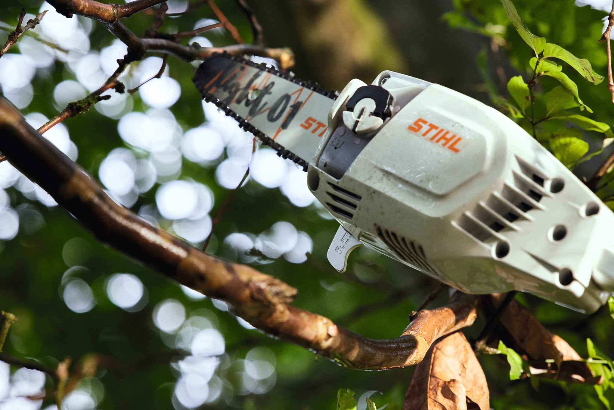 STIHL HTA 86 Élagage à perche sur batterie (AP) LA032000000