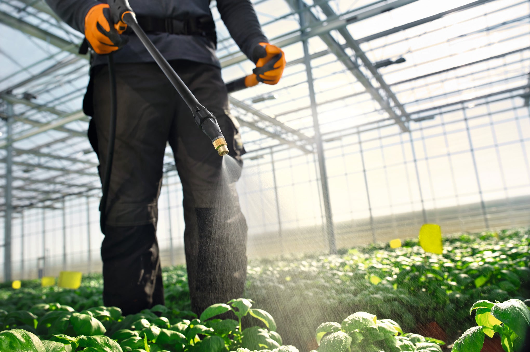 Stihl SG 71 Sprayer 42550194970