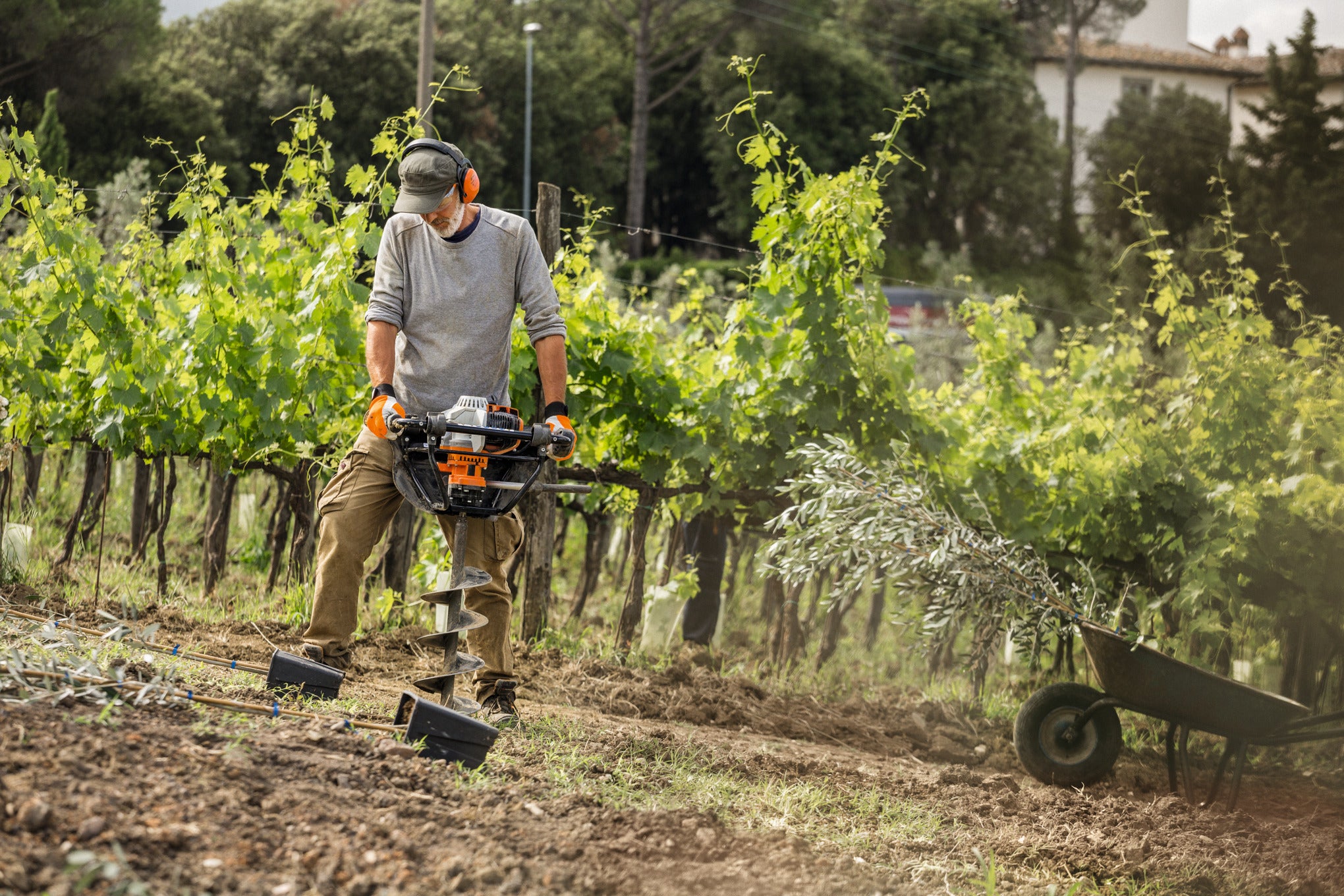 STIHL BT 131 gazon à bêche à essence : idéal pour la plantation et le prélèvement d'échantillons du sol 43130112122