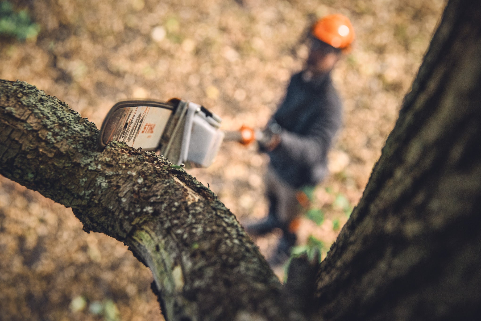 STIHL HTA 135 - Système AP LA012000003