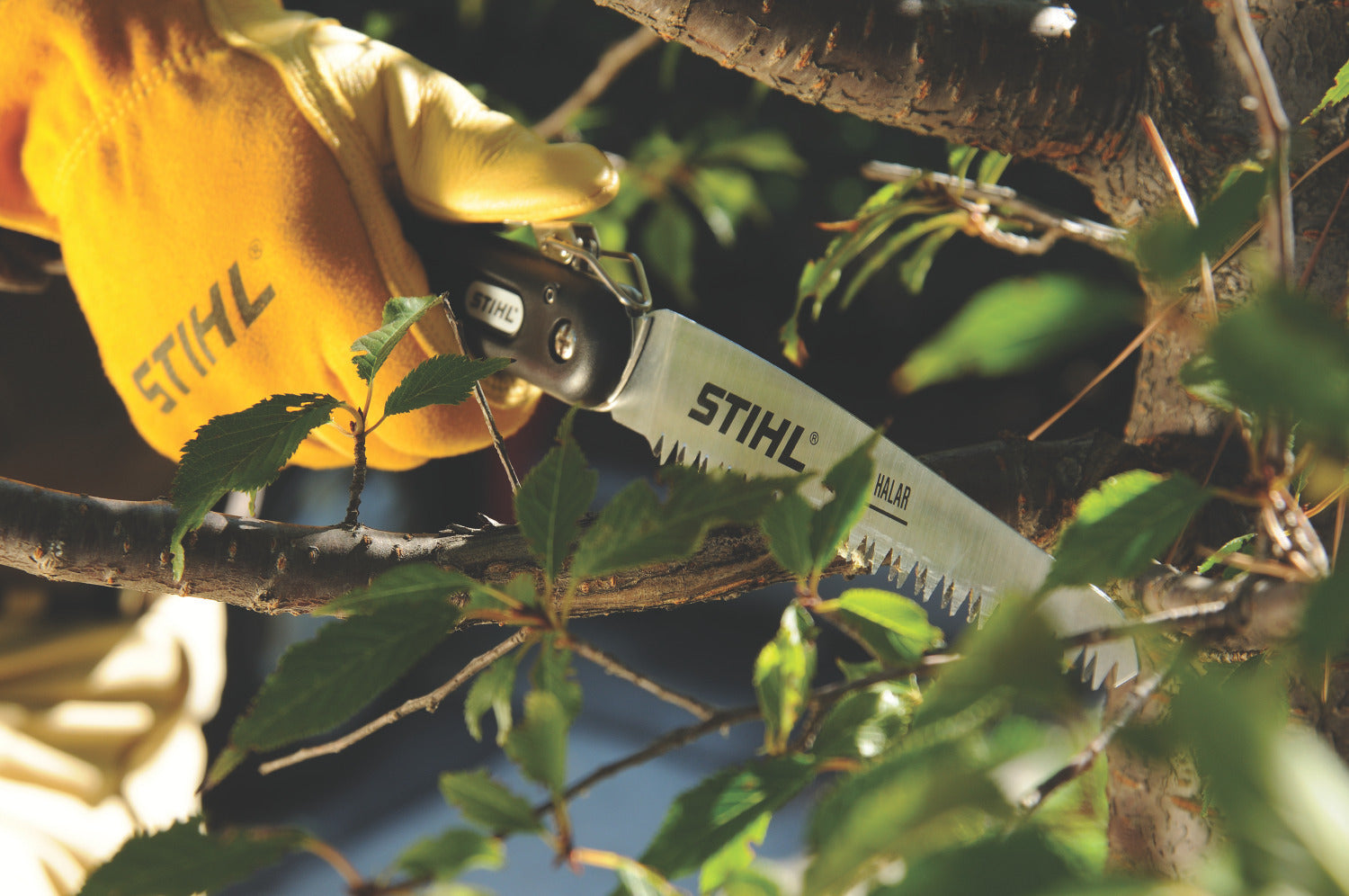 STIHL Scies d'élagage PR 27 & PR 33 00008818703