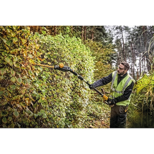 Dewalt 20V MAX* 22 in. Cordless Pole Hedge Trimmer Kit DCPH820M1