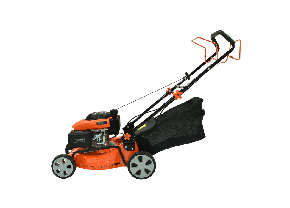 Ducar Tondeuse à gazon 17", 161 cc, démarrage par lanceur DUEDM41S