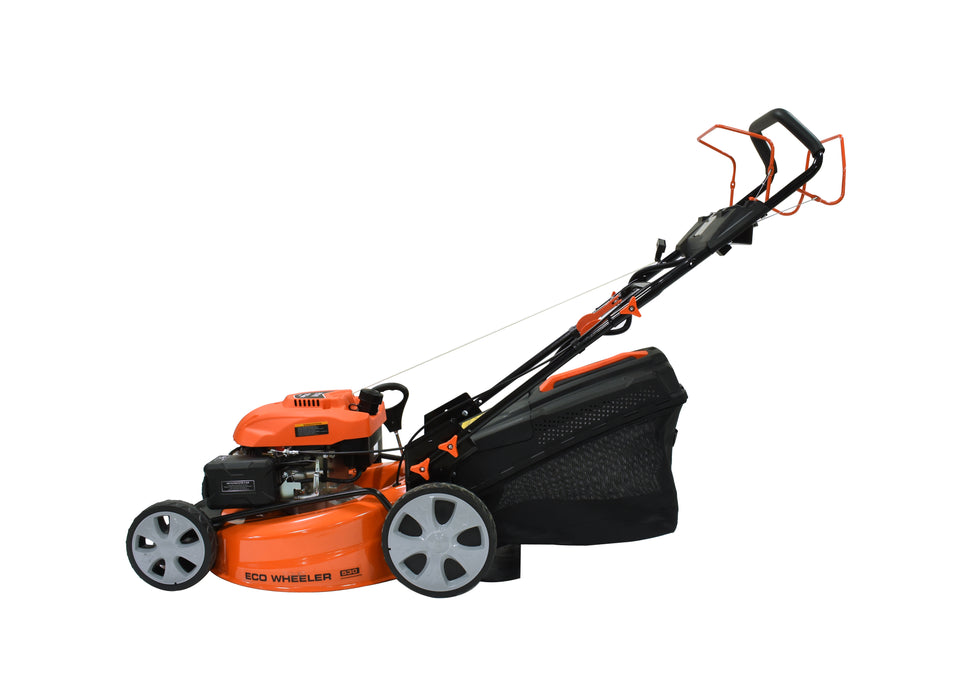 Ducar Tondeuse à gazon 21", 173 cm³, démarrage par lanceur et électrique DUEDM53SE