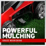 Toro 60V MAX* 21 in. (53cm) Stripe® Push Lawn Mower - Battery Not Included 21611T